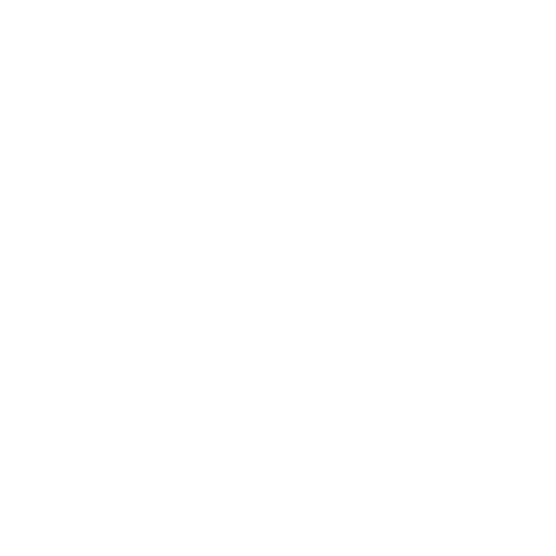 Sepo Consulting services Ltd